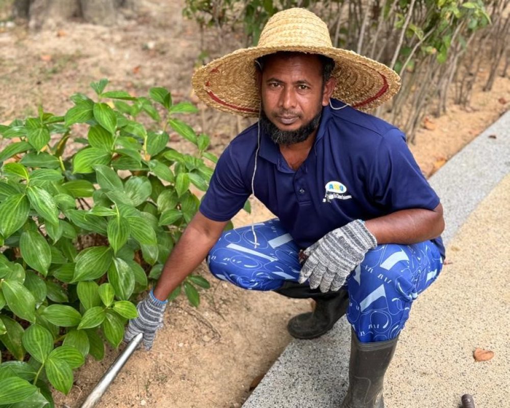 ASQ Reality-gambar homepage 2